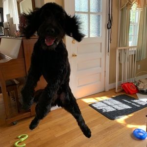 Meet your Posher, Judith